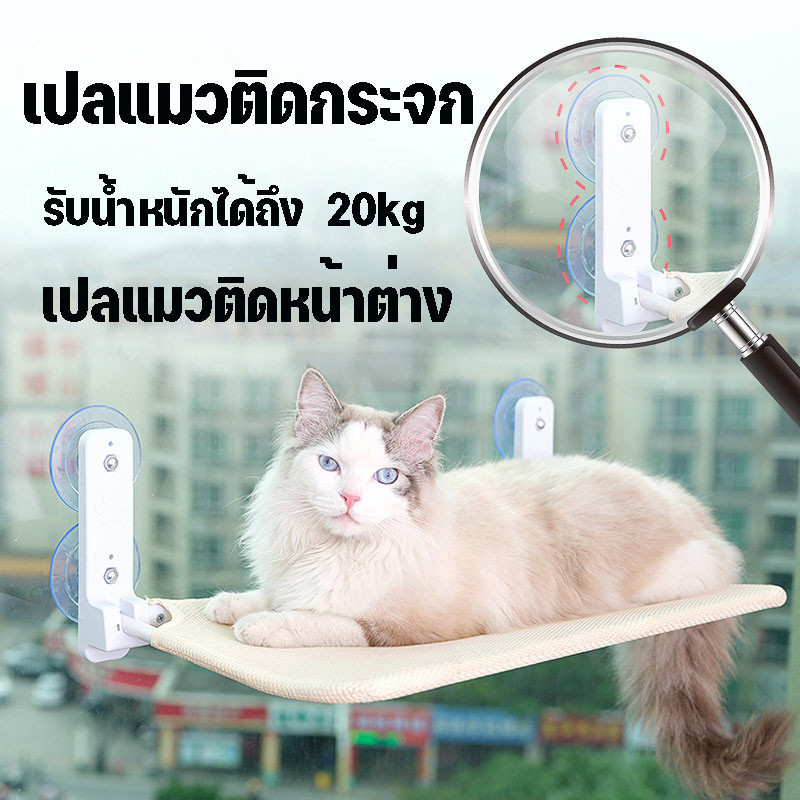 เปลแมวติดกระจก พับเก็บได้ รับน้ำหนักได้ถึง 20 kg ที่นอนแมว เปลแมวติดหน้าต่าง ติดกระจก