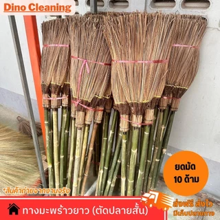 ไม้กวาดทางมะพร้าว รุ่นตัดปลายสั้น ด้ามไม้ไผ่ เเข็งเเรง ทนทาน ( พร้อมส่ง ) ความยาว 120 ซม Dino Brand
