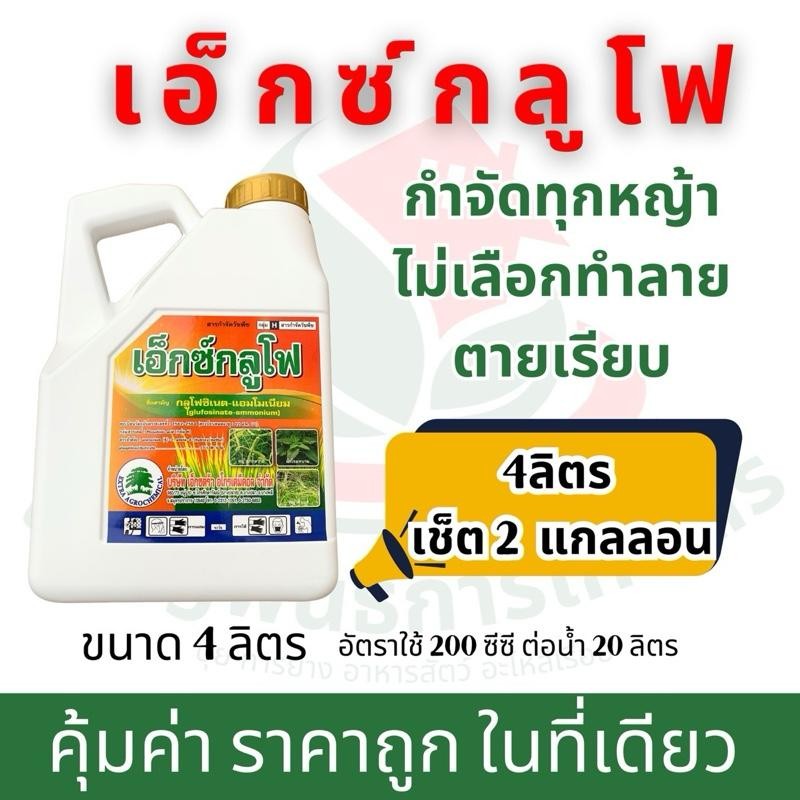 เช็ต 2 แกลลอน | เอ็กซ์กลูโฟ 4 ลิตร กลูโฟซิเนตแอมโมเนียม กำจัดวัชพืชไม่เลือกทำลาย ทั้งใบแคบ ใบกว้าง สูตรทนฝน ระยะปลอดฝนสั
