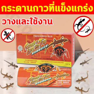 ดักจิ้งจก กาวที่มีประสิทธิภาพ หนีไม่ได้ถ้าติดอยู่ ไร้สารพิษ ไม่มีกลิ่น ตัวกล่องกันความชื้น สามารถใช้งานได้หลายจุด