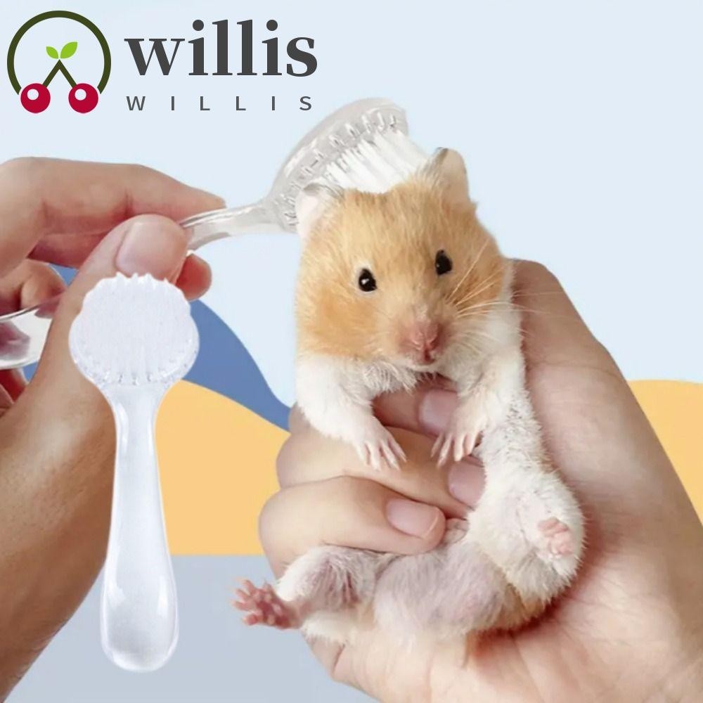 Willis แปรงอาบน้ําเม่น หัวกลม พลาสติก ขนาดเล็ก แปรงหนูแฮมสเตอร์ แบบพกพา ผมยาว แปรงอาบน้ํา ขนาดเล็ก หวีทําความสะอาด หมีสีทอง นุ่ม