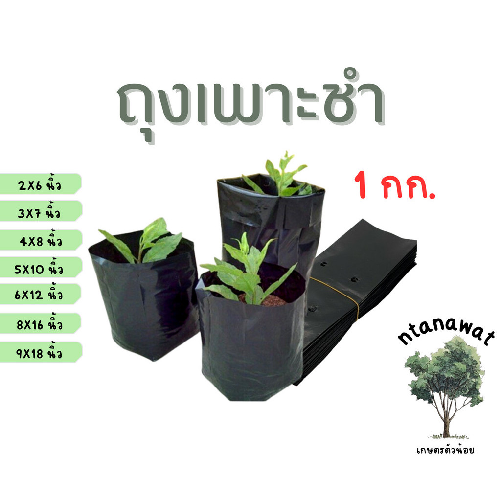 ถุงเพาะชำ 1 กก. ถุงเพาะต้นกล้า ถุงเพาะต้นไม้ เจาะรู คุณภาพดี เหนียว ทนทาน
