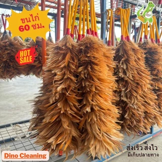 ไม้ปัดขนไก่อย่างดี ไซส์จัมโบ้ XL 75,70,60,50,40 ขนแน่นหนาฟู ไม่หลุดร่วงง่าย ด้ามจับแข็งแรง