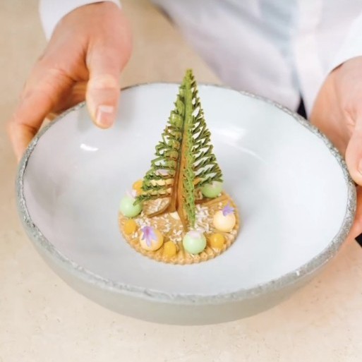 แม่พิมพ์ต้นคริสต์มาส tuile