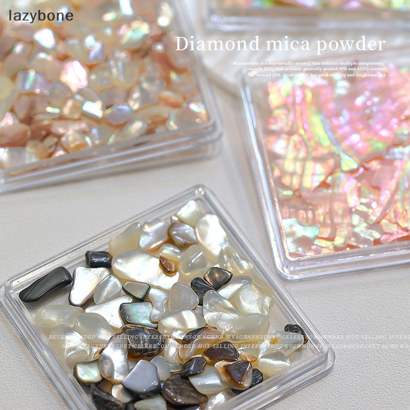 {LZ} หินหอยเป๋าฮื้อธรรมชาติ ประดับเลื่อม เปลือกหอย 1 กล่อง {lazybone}