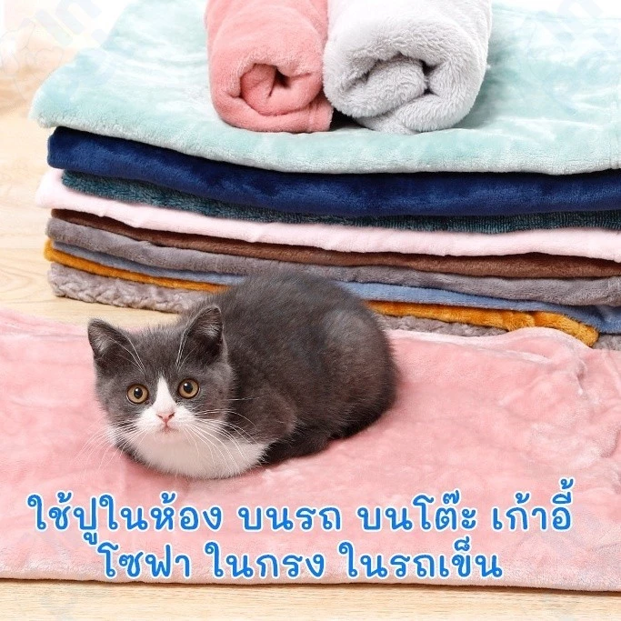 INPET ผ้าห่มกำมะหยี่ L/XL ผ้าห่มสัตว์เลี้ยง ผ้ารองนอน สุนัข แมว ที่นอนสุนัข ที่นอนแมว (คละสี)
