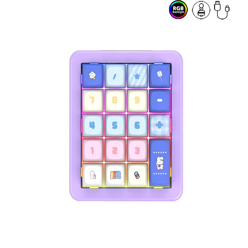 Rgb Backlight คีย์บอร์ดตัวเลขอลูมิเนียม 19 คีย์ Hot Swappable โปรแกรมคีย์บอร์ดตัวเลขแบบมีสายสําหรับเดสก์ท็อป/แล็ปท็อป