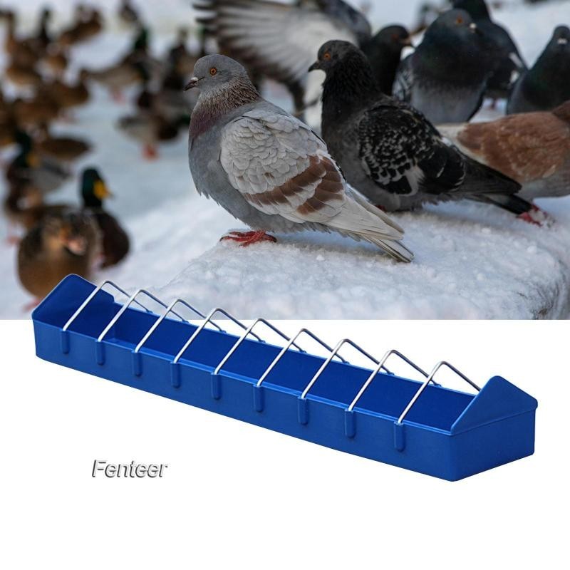 [Fenteer] กล่องจ่ายอาหารนกพิราบ สําหรับไก่งวง ในสวนหลังบ้าน