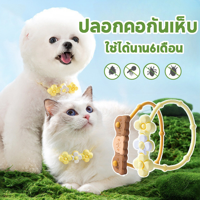 ปลอกคอสัตว์เลี้ยง ปลอกคอแมว ปลอกคอกำจัดเห็บ กันเห็บหมัด กันน้ำได้ S/M ใช้ได้นาน6เดือน