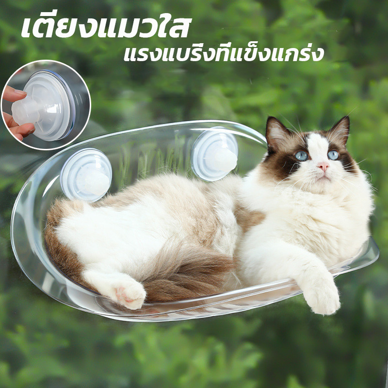 COD ที่นอนแมว เปลแมวติดกระจก สีใส เห็นใต้ท้องแมว แรงแบริ่งที่แข็งแกร่ง