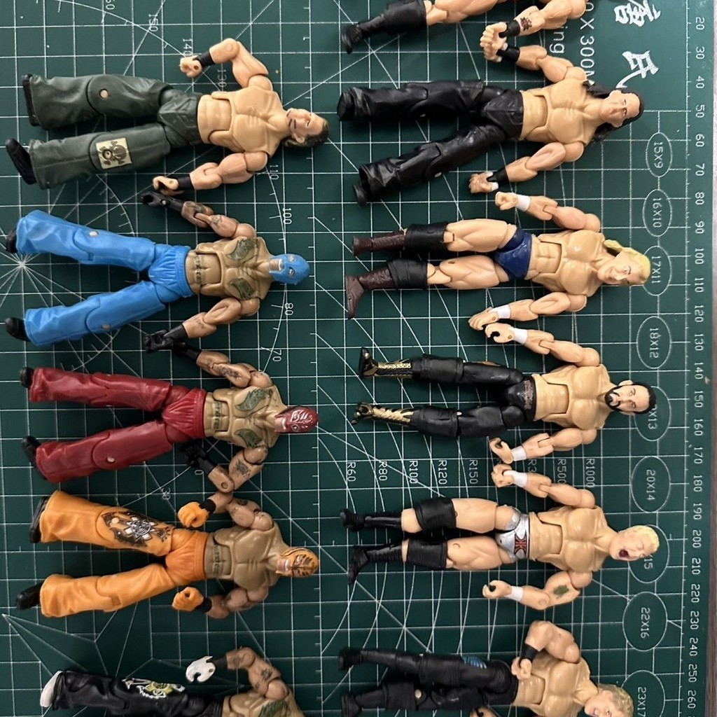 12ซม. wwe Wrestling Figure As Shot