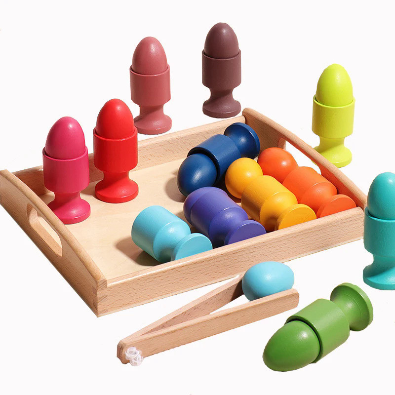 Montessori Color Sorting Sensory Games Wooden Egg Cup Parish Sorter Fine Motor Training Educational 