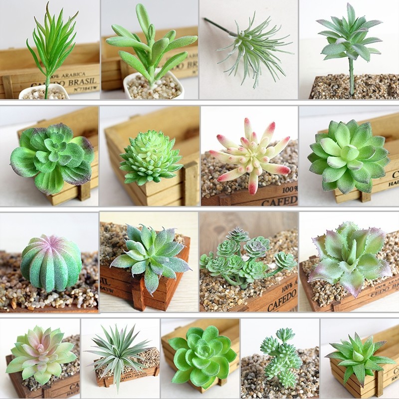 ต้นกระบองเพชรปลอม DIY สําหรับตกแต่งบ้าน และสวน