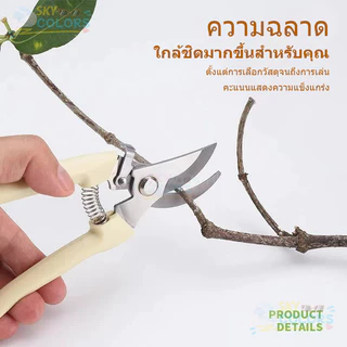 กรรไกรตัดกิ่งไม้ กรรไกรแต่งกิ่ง 6.5 นิ้ว ใบมีดสแตนเลส อย่างดี รหัส