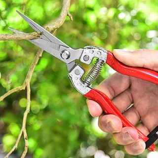 DAPHNE 1 ชิ้นสวนกรรไกร,มือ Pruner Florist กรรไกรเครื่องมือตัดแต่งกิ่งต้นไม้เฉือน,ตรงสวน Leaf Trimmer Micro-Tip ตัดแต่งกิ่ง Snips