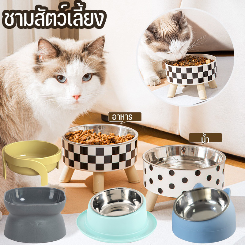 CODชามแมว มีขอบยางกันลื่น ชามอาหารสัตว์เลี้ยง