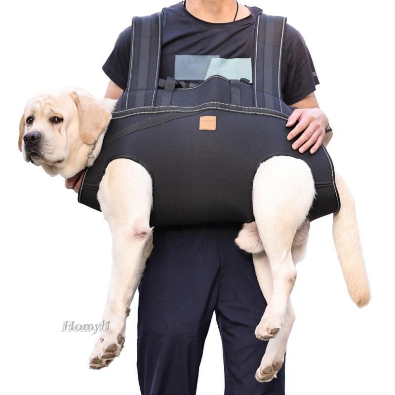 [Homyl1] กระเป๋าเป้สะพายหลัง กระเป๋าเดินทาง สําหรับสัตว์เลี้ยง เดินป่า เดิน