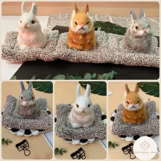 รวมพลคนรักสัตว์ ตุ๊กตาดูดกลิ่น 🐰 ตุ๊กตากระต่าย 🐶หมา 🐱ตุ๊กตาแมว 🐼หมีแพนด้า 🦊จิ้งจอก น่ารักฝุดๆ ช่วยลดกลิ่นอับได้ดี