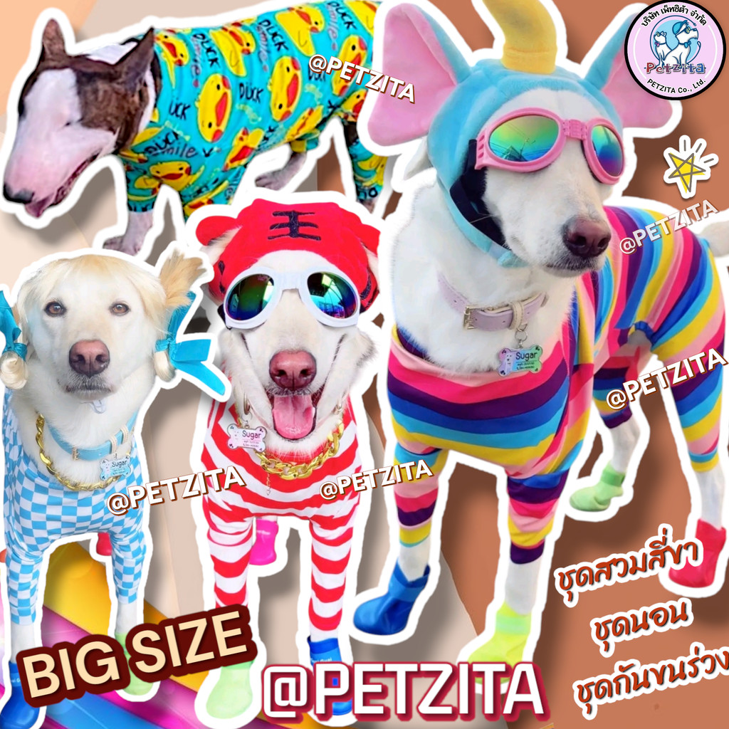 🇹🇭พร้อมส่ง🇹🇭 🐕 🩷(ลิ้งค์ที่4) BIG SIZE ชุดสี่ขา ชุดกันขนร่วง สุนัขพันธุ์ใหญ่ หมาใหญ่ เสื้อหมา โกลเด้น ลาบาดอร์ ไซบีเรี...