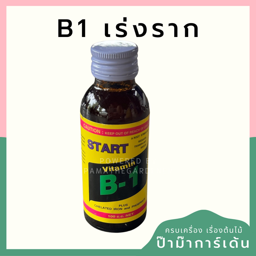 B1 น้ำยาเร่งราก 100 cc ขวดแก้ว