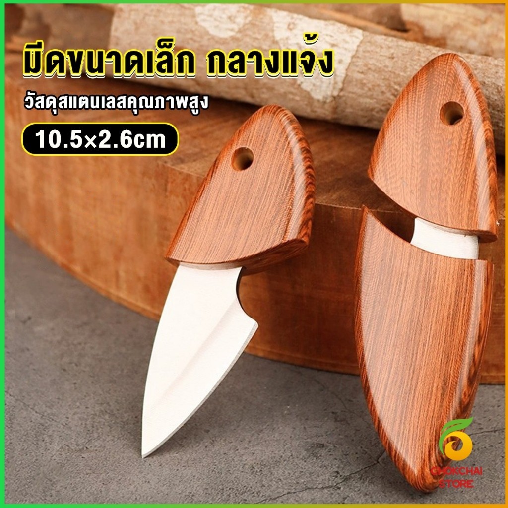 Chok มีดขนาดเล็ก มีดพก ที่จับและปลอกพลาสติก พกติดตัวได้ Fruit knife