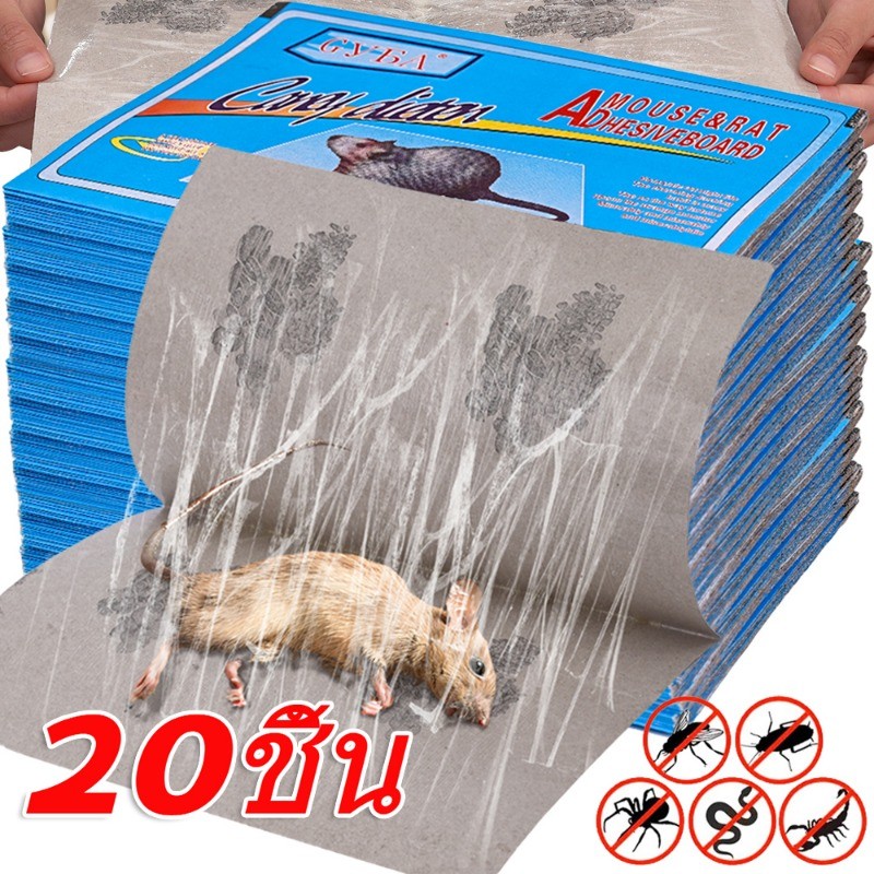 5/10/20 ชิ้น Super Strong Mouse Rat Trap กาวบอร์ด - แผ่นดักแมลงในครัวเรือน - เมาส์จับแมลงสาบ
