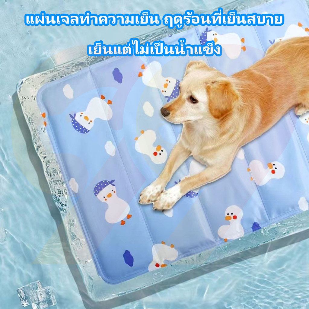 99PET แผ่นเจลเย็น แผ่นเจลเย็นหมา  แผ่นเจลเย็นแมว 3 สี 6 ไซส์ สิ่งจำเป็นสำหรับสัตว์เลี้ยงในช่วงฤดูร้อน