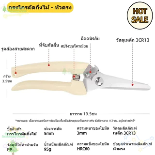 [พร้อมส่ง] กรรไกรตัดกิ่งไม้ แต่งกิ่งไม้ ปากโค้ง ปากตรง ขนาด 7 นิ้ว สีครีม