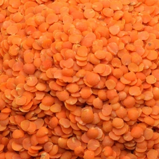 เลนทิลแดง มาซูซีก มาซูดาล 1 กก MASOOR DAL (RED LENTILS) 1kg. NV