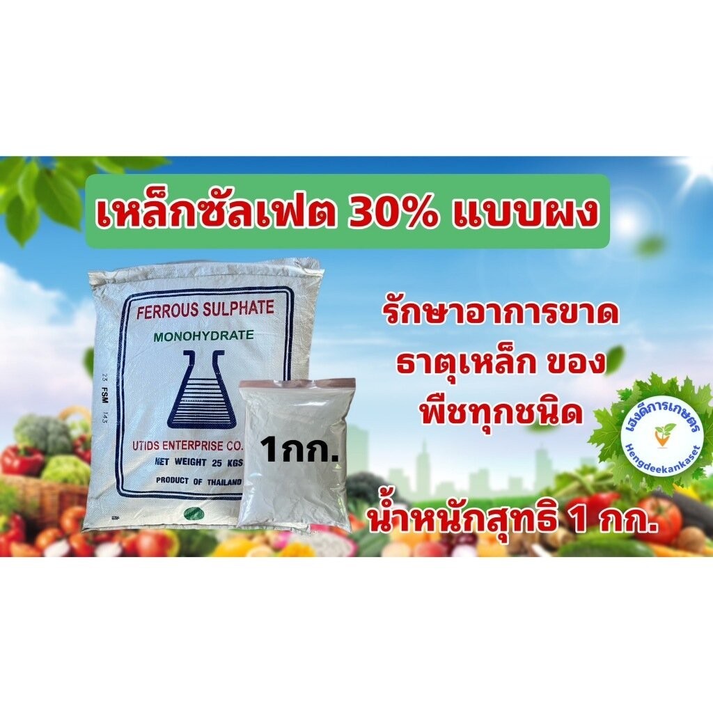 เหล็กซัลเฟต เฟอรัสซัลเฟต Ferous Sulfate แบบผง และ แบบเกล็ด แก้ใบเหลือง บรรจุ 1 กิโลกรัม