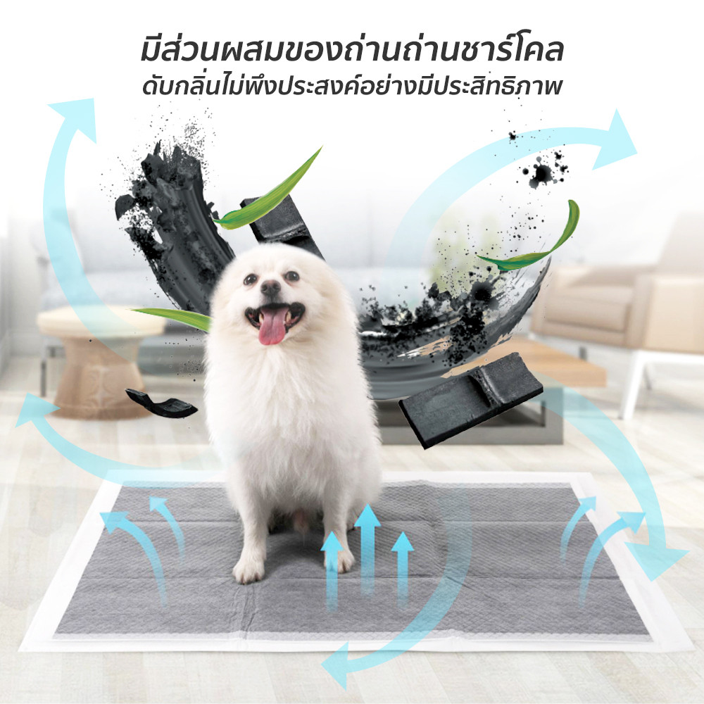 แผ่นรองฉี่ชาโคล🐶 แผ่นรองฉี่แมว แผ่นรองฉี่สุนัข ช่วยฝึกขับถ่าย ระงับกลิ่น ซึมซับไดีดี ยิ่งขึ้น - รูปที่ 5