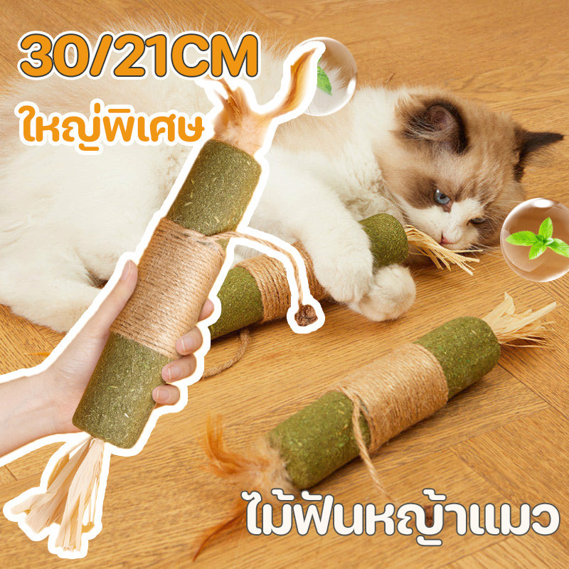 COD😻ใหญ่พิเศษ 30/21CM ไม้ฟันหญ้าแมว ไม้แปรงฟันแมว ช่วยสำรอกก้อนขน ของเล่นแมว