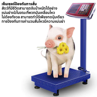 เครื่องชั่งดิจิตอลแบบตั้งพื้น ตราชั่ง รับได้ถึง300Kg เครื่องชั่งพับได้ เครื่องชั่ง หน้าจอLED แม่นยำ0.01kg แถมสายชาร์จ