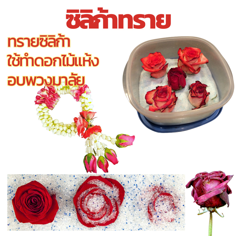** ถูกที่สุด** ซิลิก้าทราย ฟลอร่าแซน 2 KG. ซิลิกkทราย สำหรับอบดอกไม้แห้ง ใบไม้ อบมาลัยบ่าวสาว.