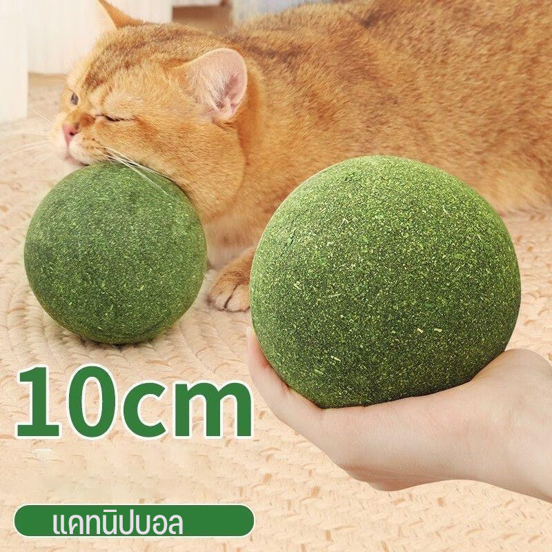 🐶พร้อมส่ง10CM กัญชาแมว แคทนิปบอล ติดกำแพง ไม่กลิ้งหาย catnip