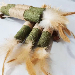AimayaPet ไม้แมวเมา ไม้มาทาทาบิ ขัดฟันแมว ไม้ขัดฟัน ลดคราบหินปูน ของเล่นแมว ไม้แปรงฟันแมว
