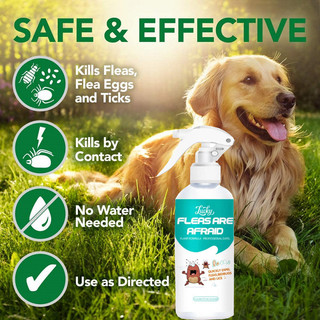 Flea and Tick Remover for Dog and Cat Anti Garapata Remover for Dog Garapata Killer Spray