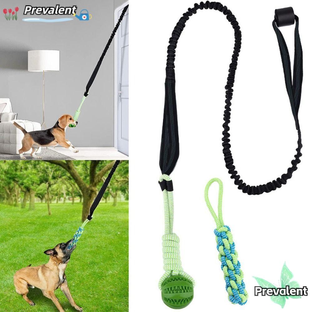 Preva ลูกบอลสุนัขของเล่นพร้อมเชือก, Interactive Tether Tug of War Bite Resistance Chew Toys, Solo Play Puppy Training Spring Pole Dog Rope Toys Small Large Dogs