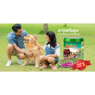 Buxaway บักซ์อเวย์ ยาจุดกันยุง สำหรับสัตว์เลี้ยง 56 ขด คุ้มสุด ฟรีถาดจุดนิรภัย