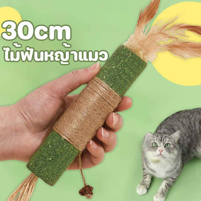 COD😻 ใหญ่พิเศษ 30/21CM ขัดฟันไม้ ก้านมาทาทาบิ ไม้ฟันหญ้าแมว ไม้แปรงฟันแมว ช่วยสำรอกก้อนขน ของเล่นแมว