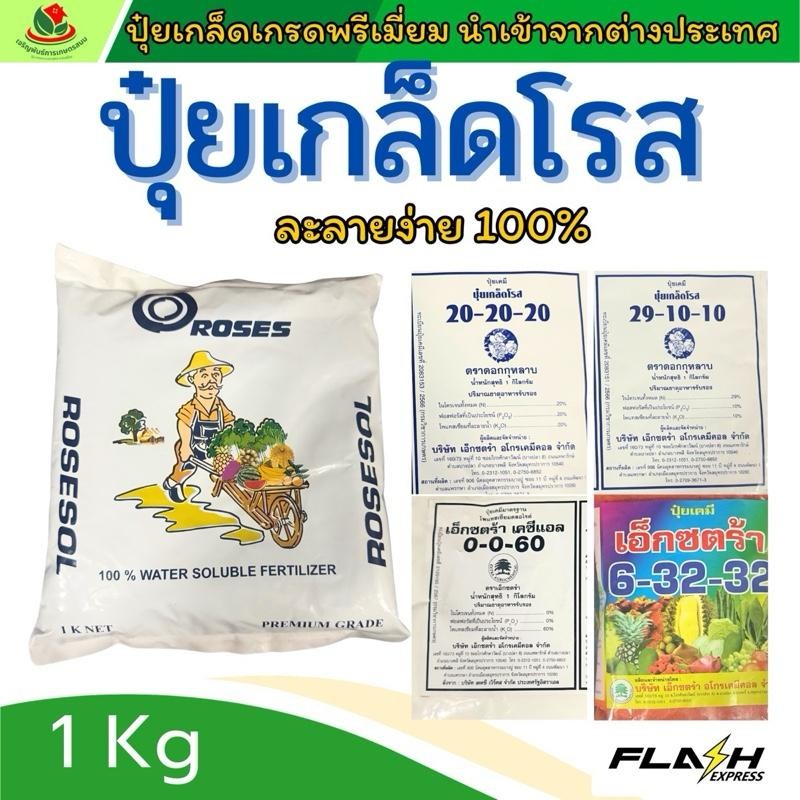 ปุ๋ยกุหลาบ ปุ๋ยเกล็ด ปุ๋ยตรากุหลาบ 20 20 20 / 29 10 10 / 0 0 60 / 6 32 32 บำรุงต้น เร่งดอก เร่งโต ผล