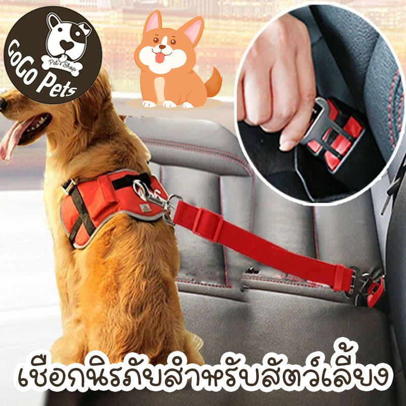 เชือกนิรภัยสำหรับสัตว์เลี้ยง เข็มขัดนิรภัยในรถยนต์ เชือกลากรถ