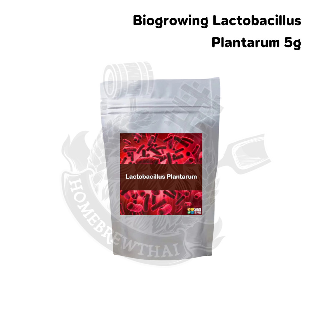Biogrowing Lactobacillus Plantarum 5g