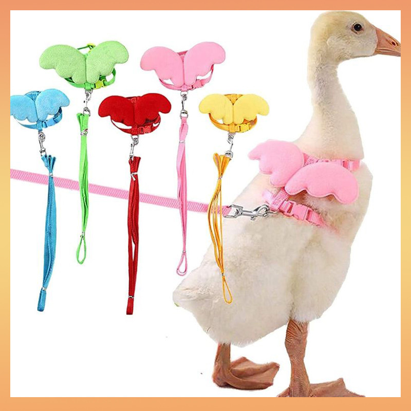 สายจูงสายรัดห่านไก่เป็ดแบบปรับได้-เชือกฝึกเดินกลางแจ้งสําหรับสัตว์เลี้ยงสัตว์ปีก