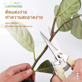 กรรไกรตัดกิ่งไม้ กรรไกรแต่งกิ่ง 6.5 นิ้ว ใบมีดสแตนเลส อย่างดี รหัส