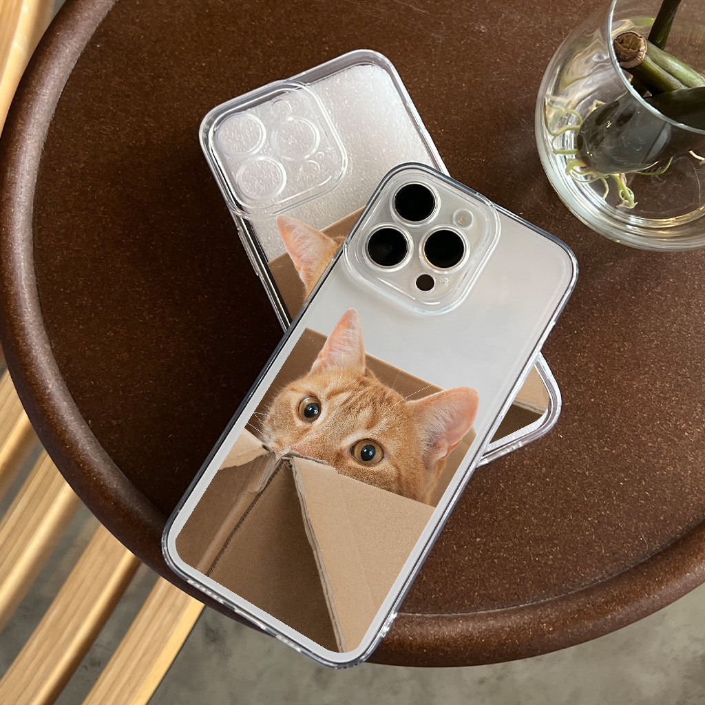 พร้อมส่งในประเทศไทย เคสโทรศัพท์มือถือลายแมวสีส้มสําหรับ IPhone 14 Pro Max 13 Pro Max 12 11 Pro X XR Xs Max 7 8 plus