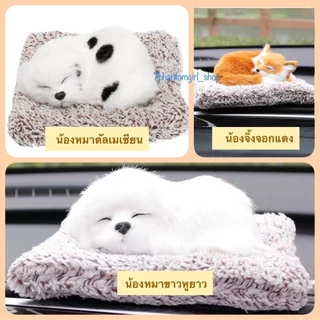 รวมพลคนรักสัตว์ ตุ๊กตาดูดกลิ่น 🐰 ตุ๊กตากระต่าย 🐶หมา 🐱ตุ๊กตาแมว 🐼หมีแพนด้า 🦊จิ้งจอก น่ารักฝุดๆ ช่วยลดกลิ่นอับได้ดี