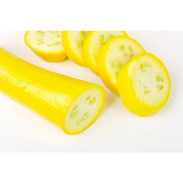 เมล็ดพันธุ์ ซูกินีสีทอง yellow zucchini  ซูกินี เหลือง เมล็ดนำเข้า 4-30 เมล็ด (ซื้อ 10 เเถม 1 คละได้) - รูปที่ 6