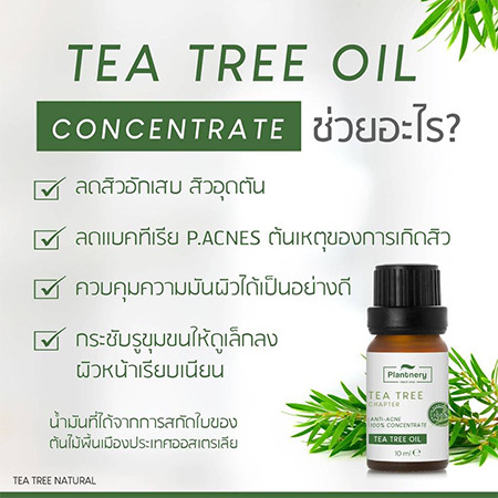 Plantnery Tea Tree Oil Acne Spot 10 ml. 1 ขวด