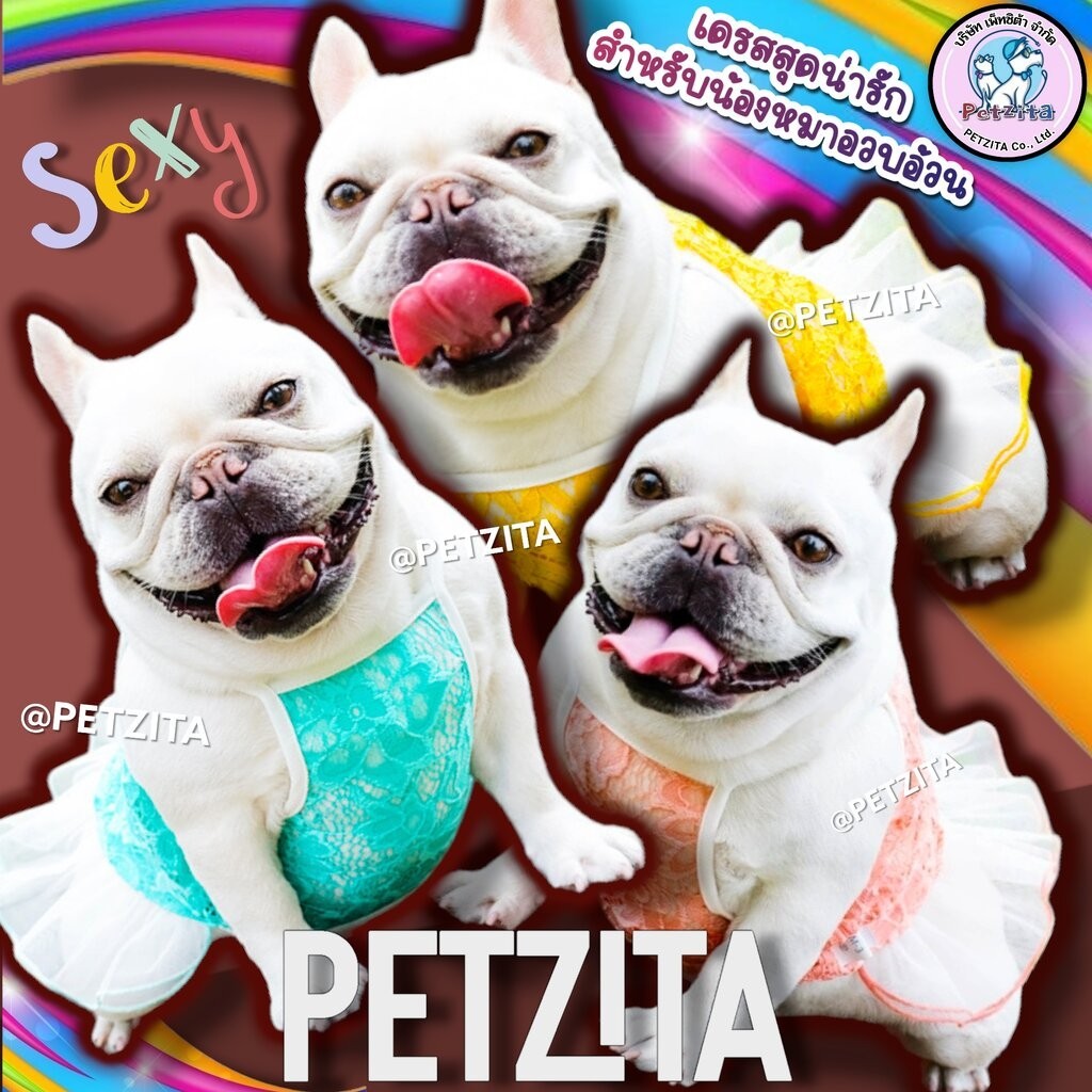 พร้อมส่ง เดรสสุดน่ารัก หมาอ้วน for pet เสื้อผ้าสัตว์เลี้ยง สุนัข เดรสหมา ชุดแมว